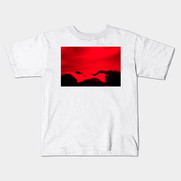 New Zealand tiered scene of high country mountains and bush shrouded by low cloud with wind-blow cloud above in red and black effect. Kids T-Shirt by brians101